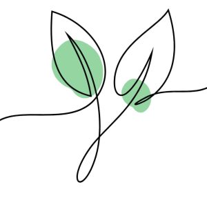 Line illustration of leaves symbolising growth and long-term change