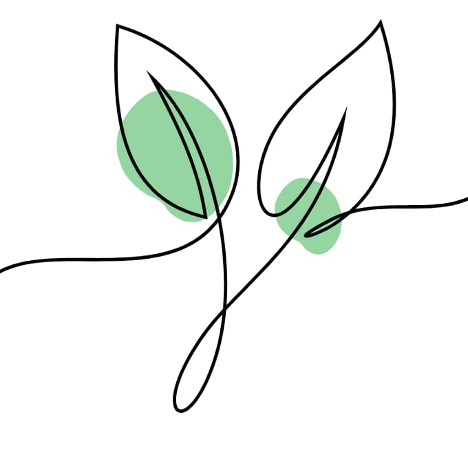 httpswh66478. (19) Line illustration of leaves symbolising growth and long-term change